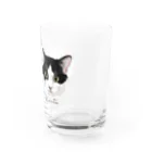 みきぞーん｜保護猫 ミッキー画伯と肉球とおともだちのMei&Kanta Water Glass :right