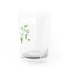 あいまるてんのブロッコリーくん Water Glass :right