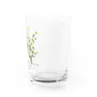 Weの私たちの菜園より カモミール Water Glass :right