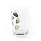 スカシカシパン堂のアサリマニア Water Glass :right