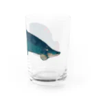 恒福水路のピラルクーグラス グラス右面