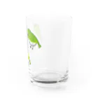 森図鑑の[森図鑑] いろいろメジロ Water Glass :right