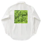 アトリエWindwingの苔グッズ（タマゴケ玉つき） ワークシャツ