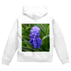 でおきしりぼ子の実験室のMuscari botryoides(1:1) Zip Hoodie