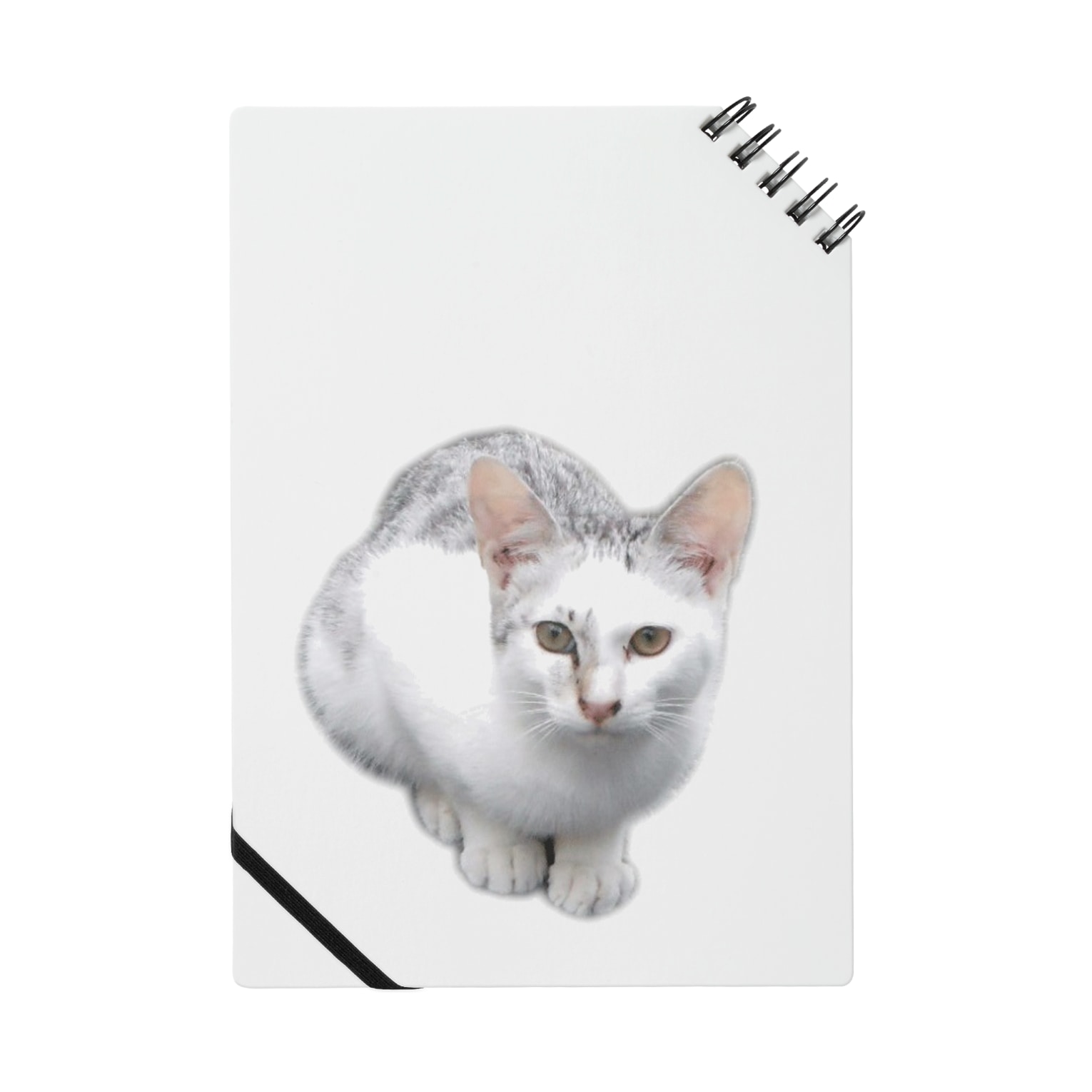 ぜいたくかっこいい 猫 イラスト 動物ゾーン ぜいたくかっこいい 猫 イラスト 動物ゾーン