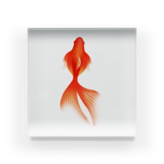 赤い金魚 Acrylic Block