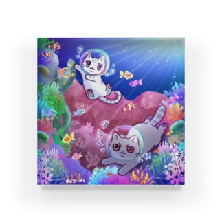 にゃんことサンゴ礁 Acrylic Block
