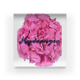 紫陽花 ～hydrangea ～ Acrylic Block