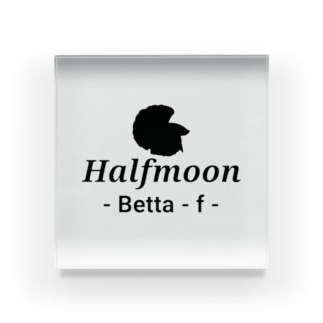 Halfmoon Betta⑤Black Acrylic Block