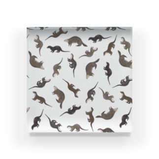 Five Otters Acrylic Block