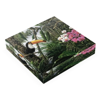 楽園　（オニオオハシ×熱帯ジャングル） Acrylic Block