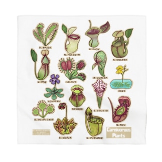 食虫植物図鑑 すとろべりーガムfactory Frisk5 のバンダナ通販 Suzuri スズリ 食虫植物図鑑 すとろべりーガムfactory Frisk5 のバンダナ通販 Suzuri スズリ