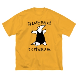 【色白】通さぬミナミコアリクイ Big T-Shirt