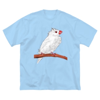 水浴び文鳥 カラー Big T-Shirt