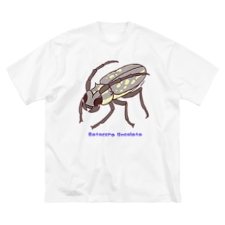 シロスジカミキリくん むしのなかま Akari 虫デフォルメ作家 Akari08biyori のビッグシルエットtシャツ通販 Suzuri スズリ シロスジカミキリくん むしのなかま Akari 虫デフォルメ作家 Akari08biyori のビッグシルエットtシャツ通販 Suzuri スズリ