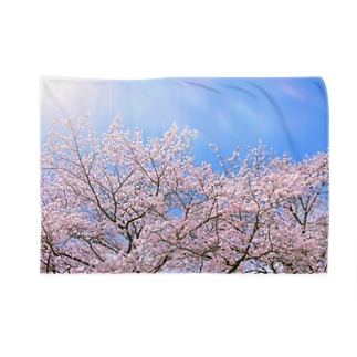桜のブランケット Blanket
