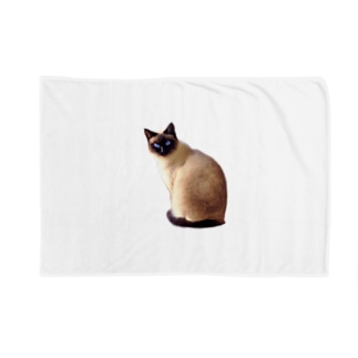 ネコ / cat Blanket