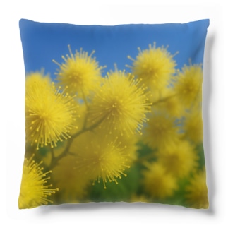 ミモザ Cushion