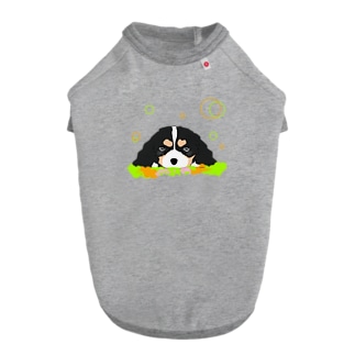 癒し犬 キャバリア　トライカラー Dog T-shirt