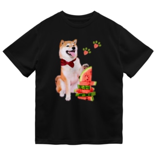 柴犬とスイカタワー Dry T-Shirt