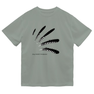 ヤマゲラノハネアツメ　　明るい色のTシャツ用 Dry T-Shirt
