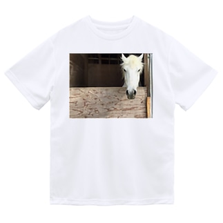 馬だよーん Dry T-Shirt