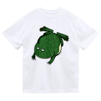イラスト カエル 蛙 ドライtシャツの通販 Suzuri スズリ