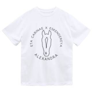 marulogo【ALX】kuro Dry T-Shirt