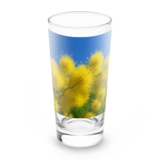 ミモザ Long Sized Water Glass