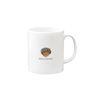 ドングリシリーズ【クヌギ Quercus acutissima】ナチュラル Mug