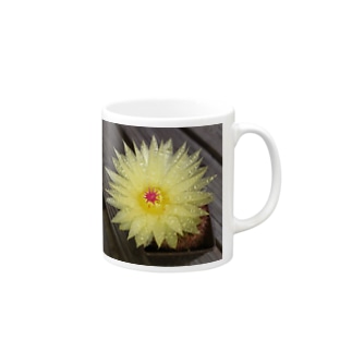 サボテンの花 Mug