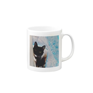 黒猫の日常 Mug