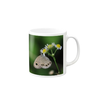 ヒメウラナミジャノメ Mug