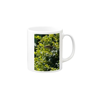 葉っぱの中からひょっこりトカゲ🦎 Mug