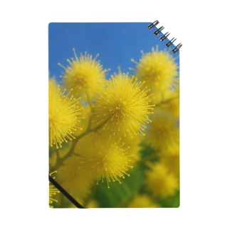 ミモザ Notebook