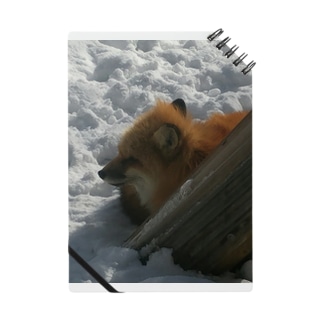雪中の狐（写真） Notebook