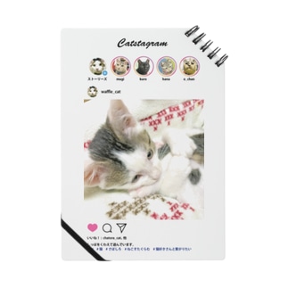 Catstagram　猫写真UPしたよ！ Notebook
