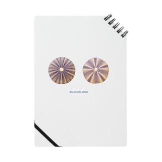 シラヒゲウニの殻 Notebook