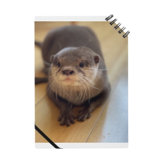 カワウソ スウェットの通販 Suzuri スズリ カワウソ スウェットの通販 Suzuri スズリ