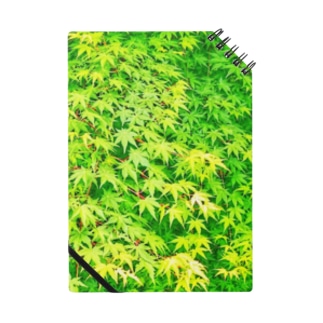新緑の風 Notebook