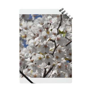 春の花・桜 Notebook