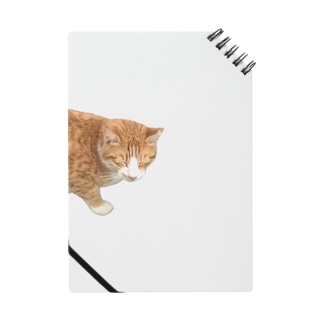 ひょっこり猫 Notebook