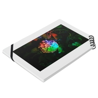 「レインボー紫陽花」 ノート