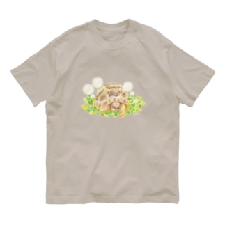 【新作】うたたね　ギリシャリクガメ Organic Cotton T-Shirt