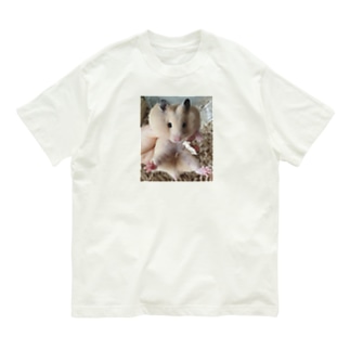アパレルキンタ〜野心〜 Organic Cotton T-Shirt