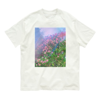 さくらんぼの風 Organic Cotton T-Shirt