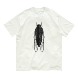 陽炎 Organic Cotton T-Shirt