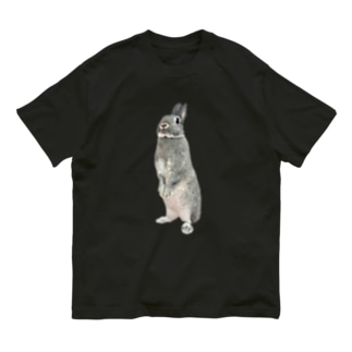 キョトンとするウサギ Organic Cotton T-Shirt
