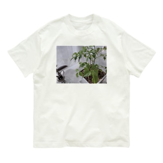 ぼくの草1 Organic Cotton T-Shirt