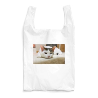 シキ・シリーズ Reusable Bag